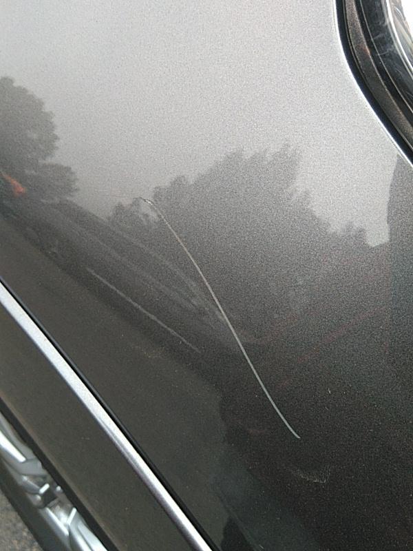 2019 Infiniti QX80 4X2 LUXE