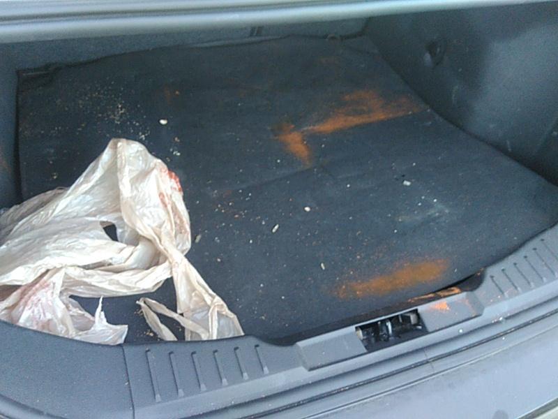 2015 Ford FOCUS 4C SE