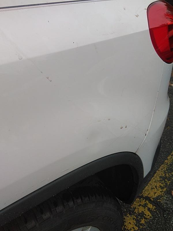 2015 Volkswagen TIGUAN AWD S