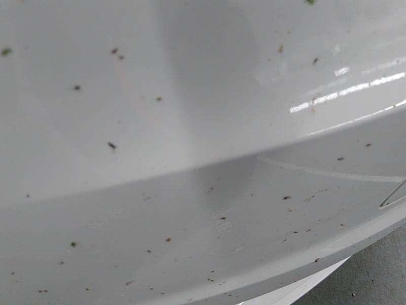 2016 Audi A3 FWD 4C 1.8T PRM